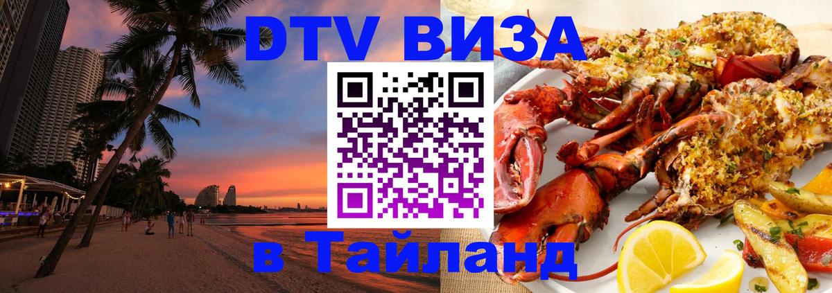 Оформление DTV визы под ключ: стоимость и тарифы, только загранпаспорт - Киров  20.11.2025 